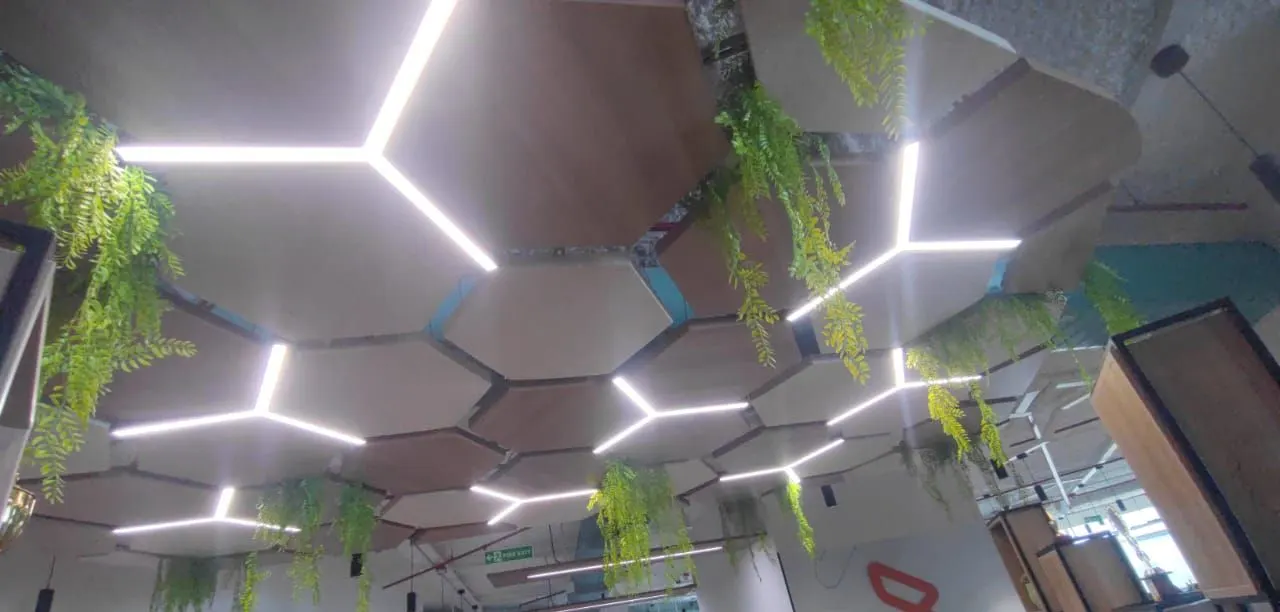 Hexagonal ceiling baffles with linear lighting along the joints and hanging greenery
